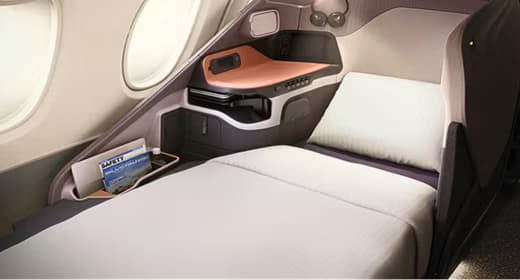 Singapore Airlines Business Class to Dubai image 1